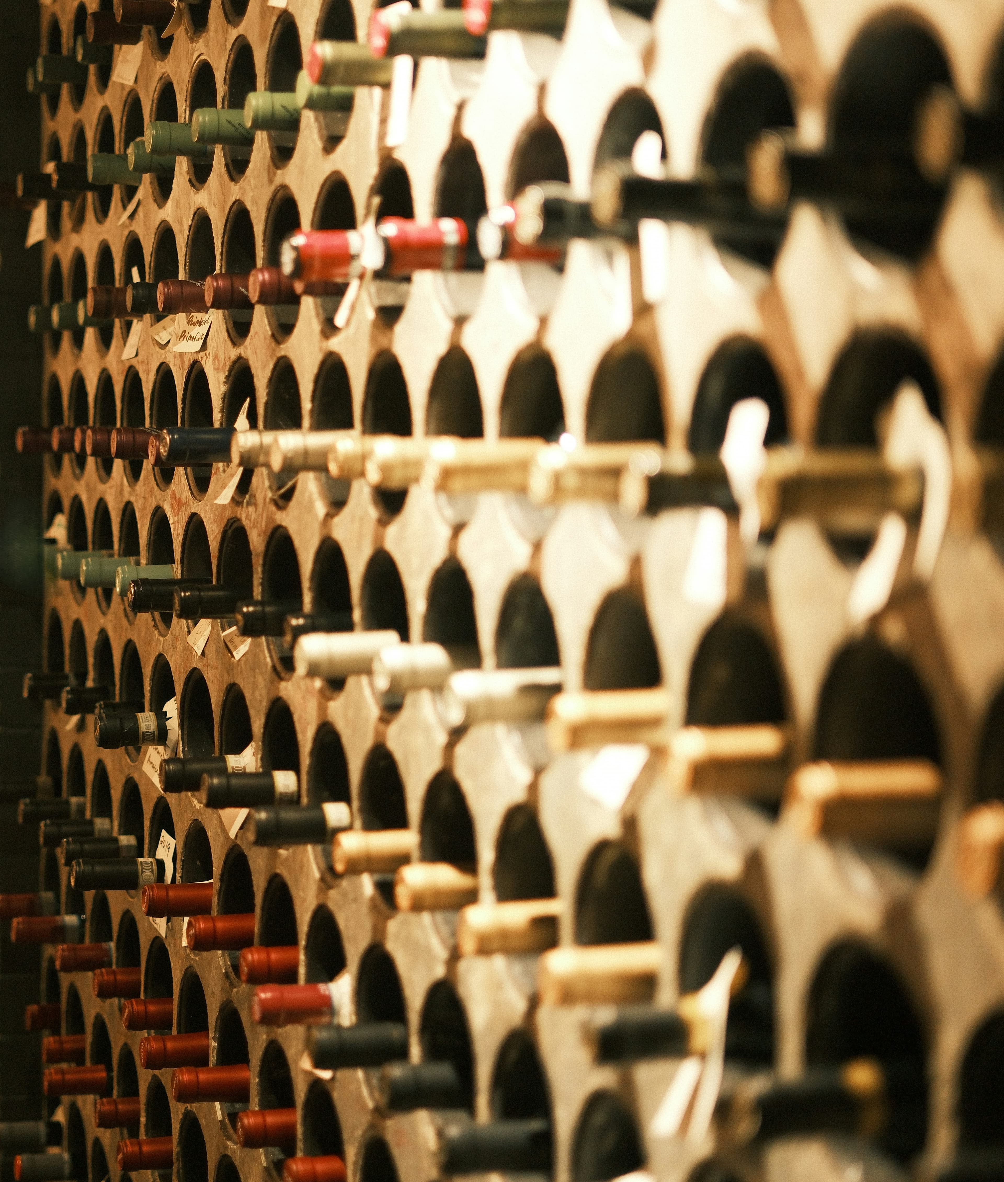 Rhodes Wine Tasting photo 3