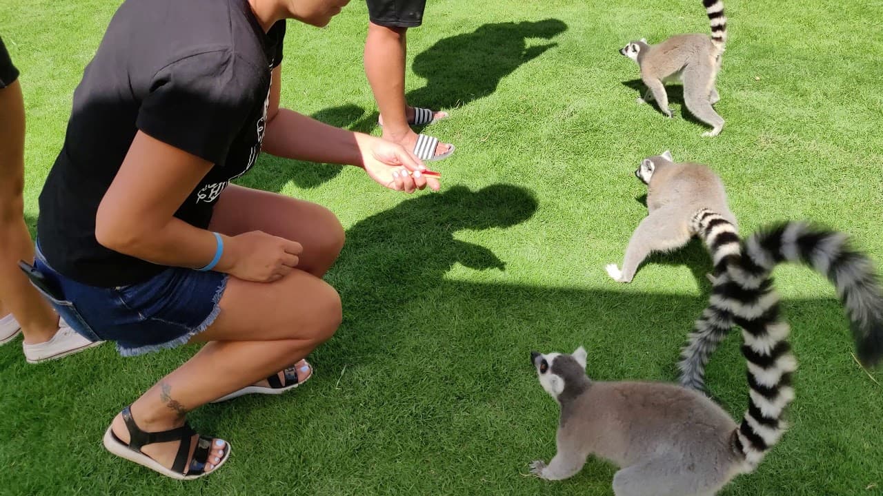 Rhodes Animal & Sea Experience photo 4