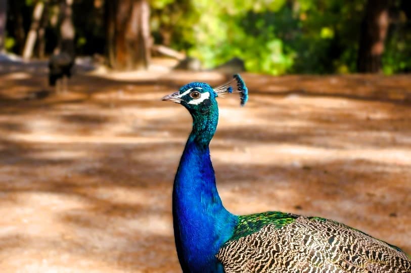 Nature & Panoramic Rhodes Escape photo 3