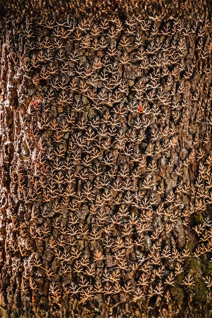 Nature & Panoramic Rhodes Escape photo 5